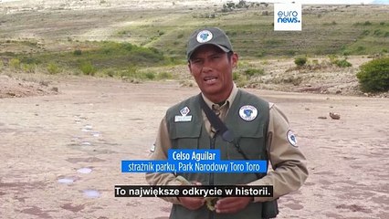 Paleontologia. Nigdzie nie znaleziono więcej śladów dinozaurów niż w Boliwii