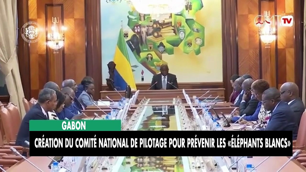 [#Reportage] Gabon : création du Comité national de pilotage pour prévenir les «éléphants blancs»