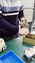 Two-Stage Planetary Reducer Manufactured In the Factory -The Planetary Reducer Structure #reducer