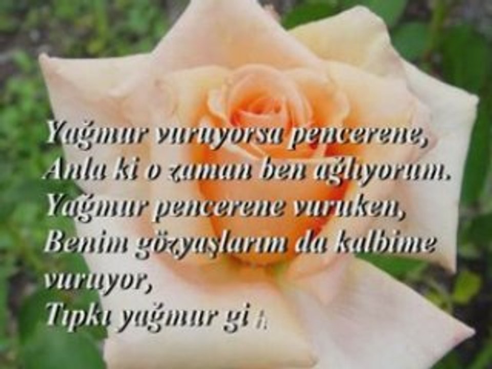 Sevgiliye
