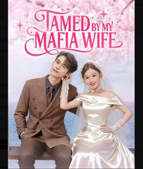 Tamed By My Mafia Wife Chinese Drama - English Sub