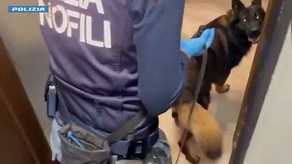 Catania, il frigo è pieno di droga: arrestato