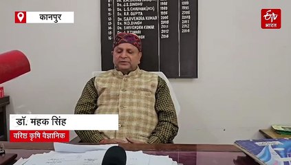 सरसों की ऐसी प्रजाति जो है कीटमुक्त; नहीं लगेगा पौधे में कोई रोग, अब इन 4 राज्यों में भी होगी खेती