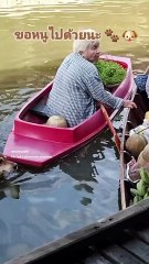 เจ้าตูบตามยายมาขายของ พอปีนขึ้นเรือถึงกับทำลุ้นหนักมาก