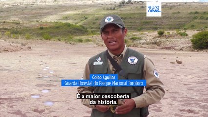 Em nenhum outro lugar foram encontradas mais pegadas de dinossauros do que na Bolívia