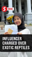 Influencer and hubby charged with keeping seven protected animals without a licence