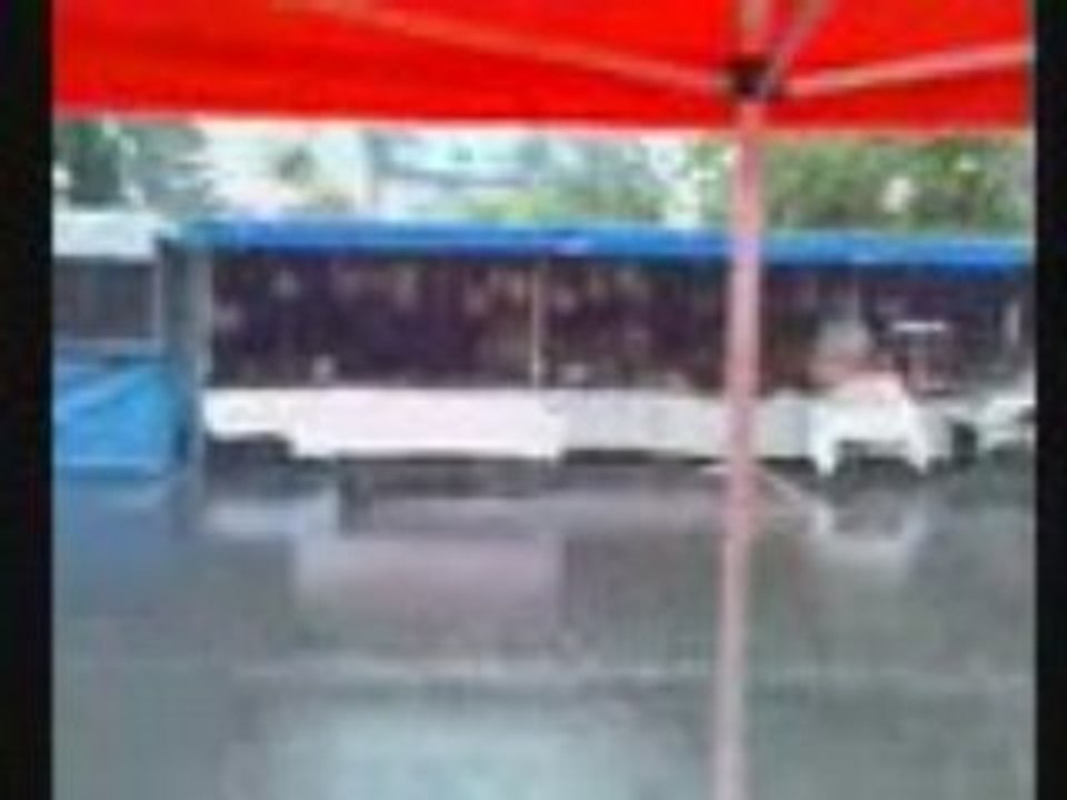 Marché de printemps de Chateau Renault (mai 2008)