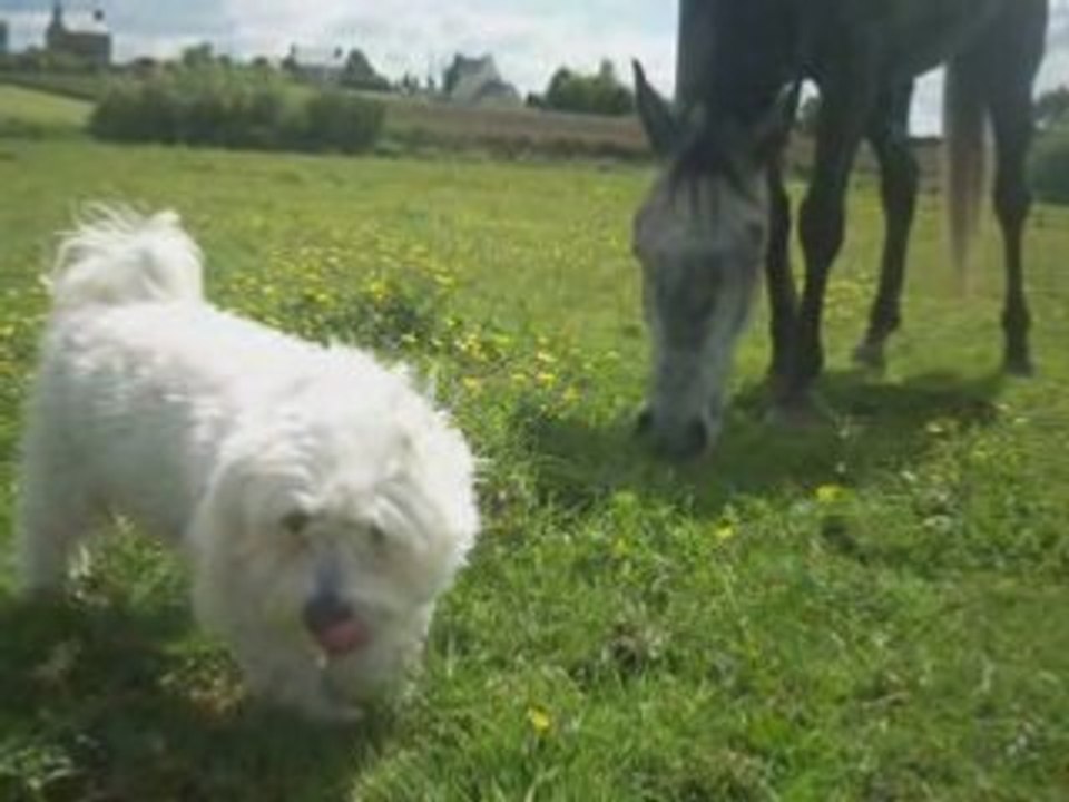 moi dans mon délire