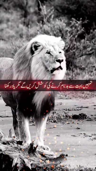 ALLAH ki baatein