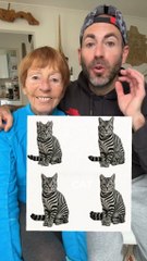 Venez me faire un petit coucou sur Twitch : arno padawan