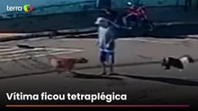 Idoso ‘atropelado’ por cachorro morre quatro meses após acidente em Piacatu (SP)