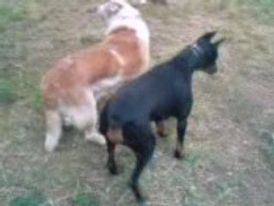 MOV00643