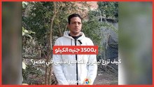بـ3500 جنيه الكيلو.. كيف تزرع ليمون الكافيار الأغلى في مصر؟