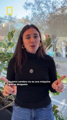 Un nuevo estudio redefine las etapas vitales: la adolescencia no termina cuando creías