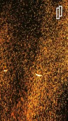 Sainte-Barbe fait des étincelles !