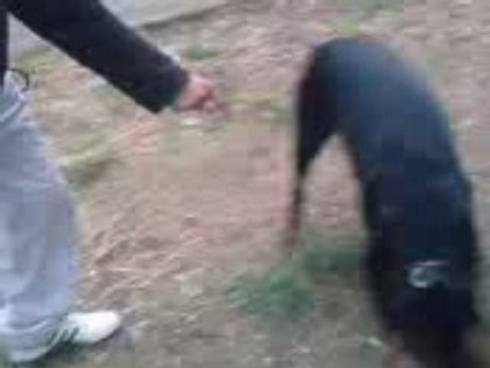 MOV00644