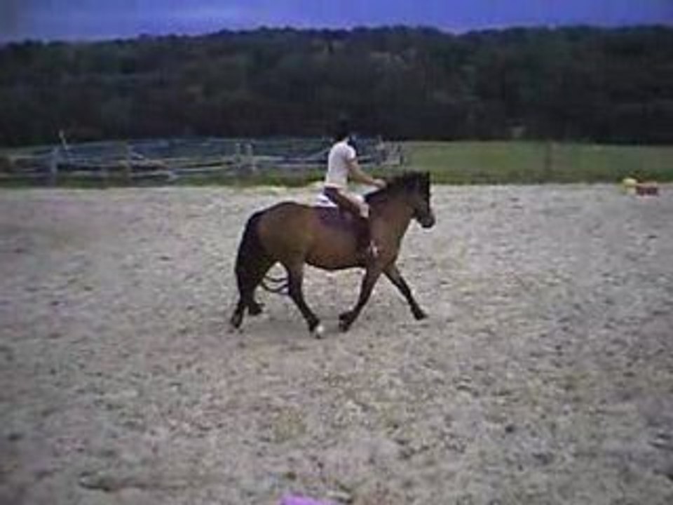 Sandrine et Pilgrimm2