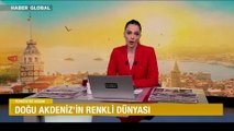Doğu Akdeniz'in renkli dünyası: Bilge Taş Mağarası