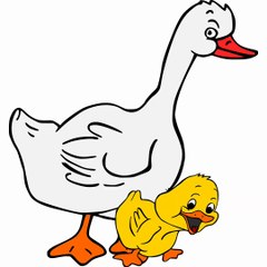 SERDAR ŞİMŞEK MÜZİKLİ SEVİMLİ ÖRDEK KAZ TAVŞAN KARİKATÜRLERİ