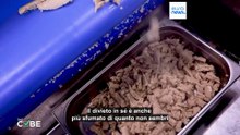 Fact-check: l'Italia è contraria alla carne in laboratorio, ma non è una novità