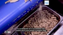 Algunos mensajes virales inducen a error sobre la prohibición de la carne de laboratorio en Italia
