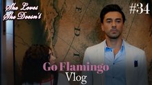 Go Flamingo Vlog #34