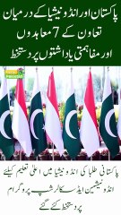 Pakistan and Indonesia Sign 7 Key Agreements and MoUs to Boost Bilateral Cooperation!