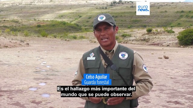 Bolivia descubre la mayor colección de huellas de dinosaurio: un 'paseo de la fama' prehistórico