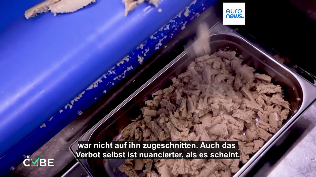 Virale Posts über Meloni: Hat Italien 'Laborfleisch' verboten?