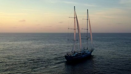 POURVU QUE CA DURE PLUS - Le vent pour décarboner le transport maritime ?