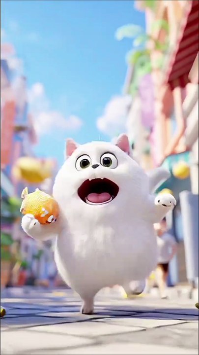 Funny cat videos