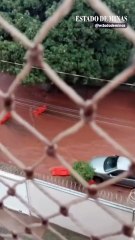 Temporal em Uberlândia derruba árvore e deixa bairros em alerta