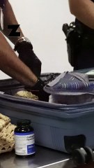 « Fais pas ta tête de mule » : l’État lance sa campagne anti-mules par un contrôle musclé à Roland-Garros