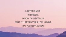 SLANDER - I'm sorry don't leave me I want you here with me (Lyrics) _ Love Is Gone