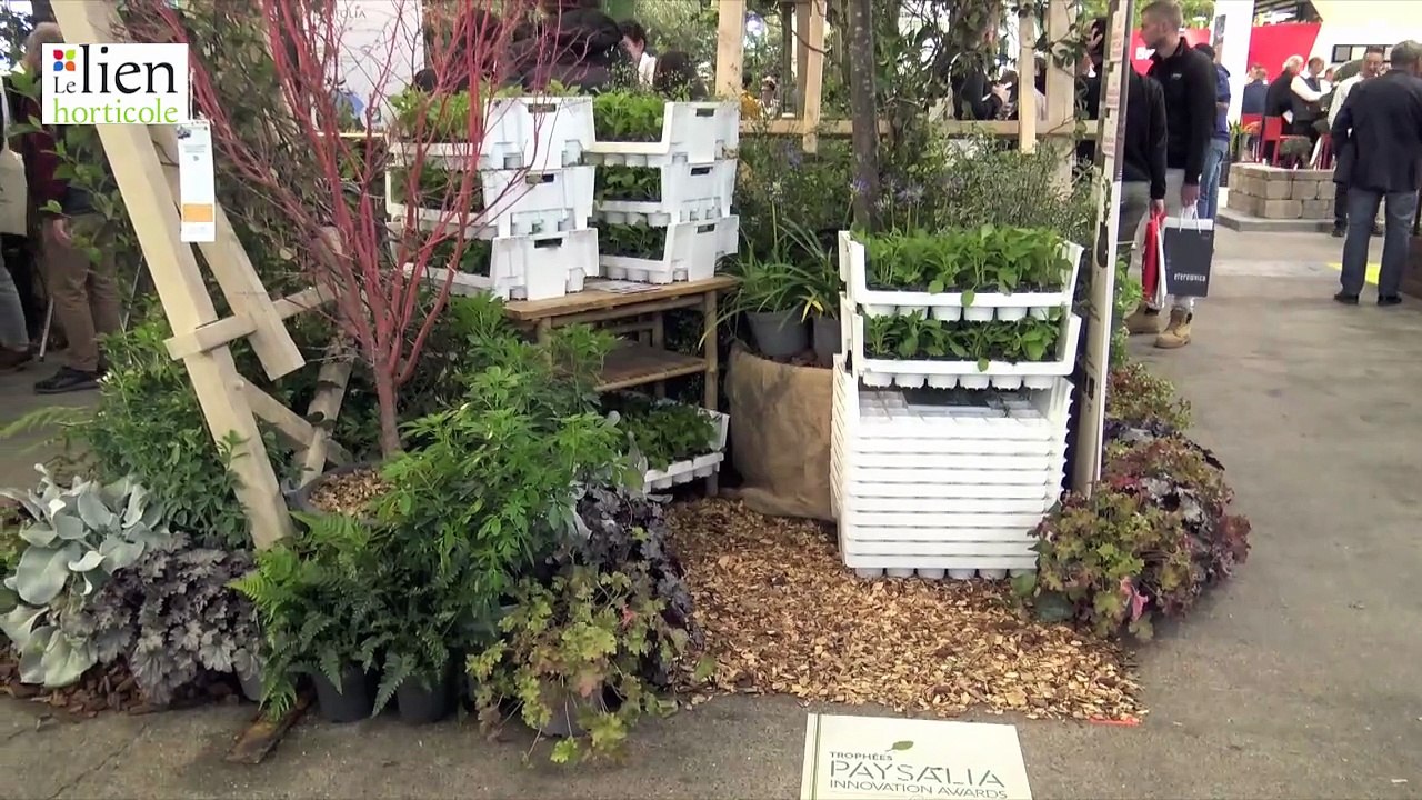 Synfoplant, des plaques réutilisables conçues pour durer jusqu’à 10 ans.