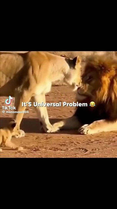 Best ai video