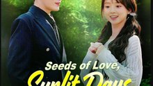 Seeds Of Love Sunlit Days – Full HD Movie | English Sub