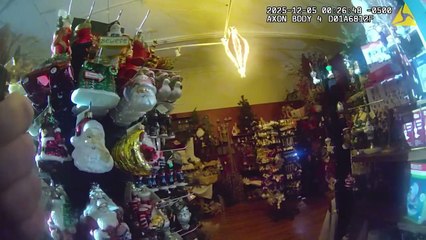 Veado invade loja natalícia nos EUA