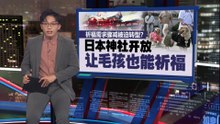 祈福需求骤减被迫转型？   日本神社开放让毛孩祈福