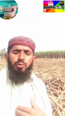 Ya Rasool Allahi unzur hallana ya habibballa hi is maqalana naat daily naat Sharif ki awazz men video viral video upload Karen kisdin English to translate 2025