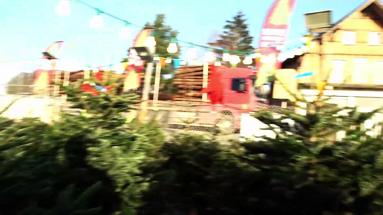 Brumath Les Sapins de Noël 2025 de la Famille Molinez