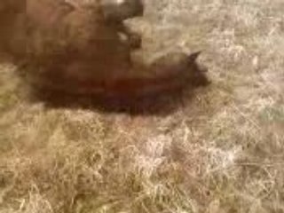 L0ul0ute kii se r0ule =)