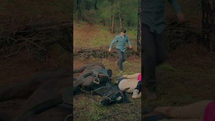 إصابة الحصان | مسلسل قوة الحب #shorts #| Sevdam Alabora  #مسلسلات_تركية