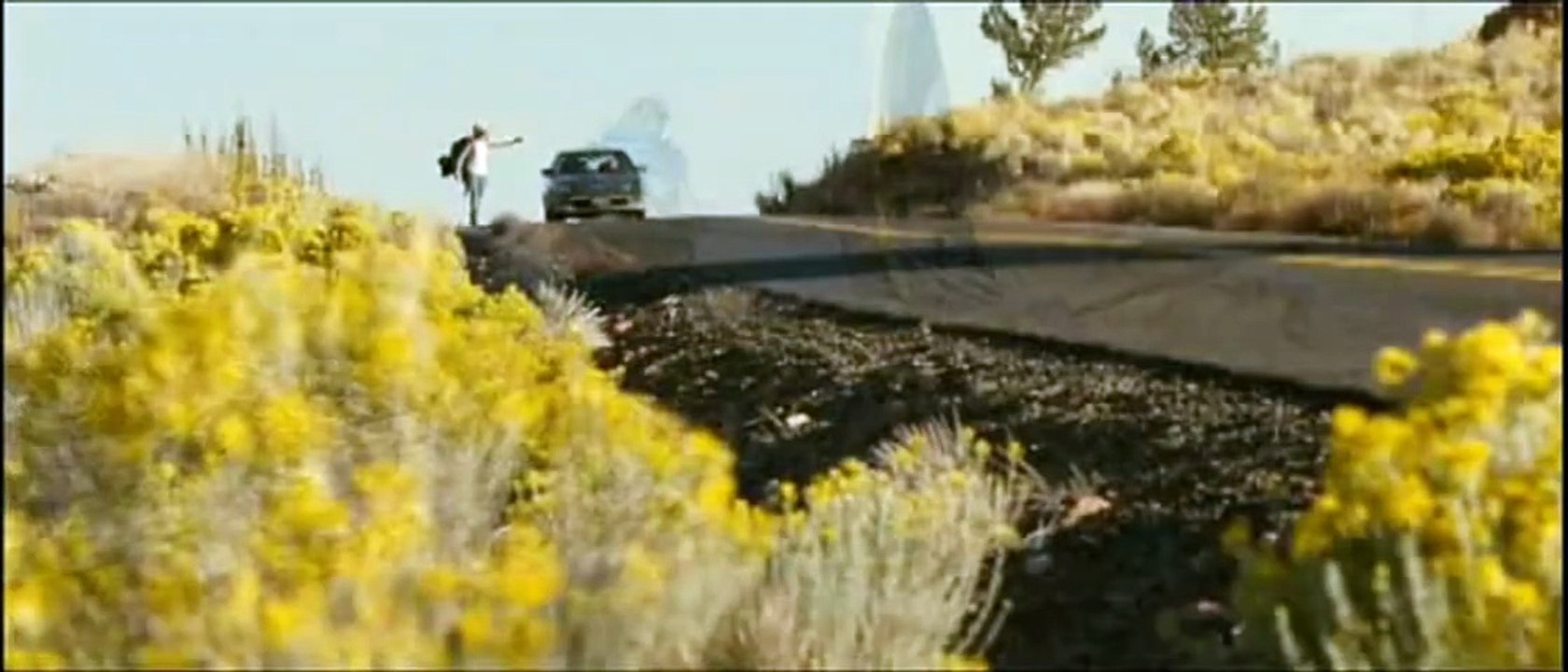Into the Wild Trailer DF