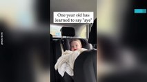 Scottish Toddler Learns to Say ‘aye’ in Adorable Backseat Moment