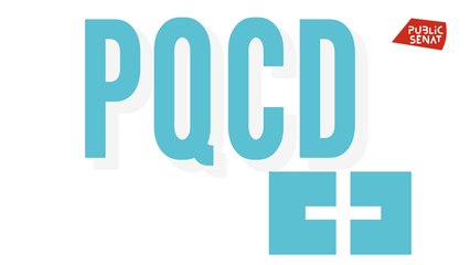 POURVU QUE CA DURE PLUS - 2025/2026 - Automobile : comment aider les professionnels à passer à l'électrique ?