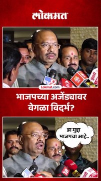 आम्ही वेगळ्या विदर्भाच्या बाजूनंच काम करतोय, चंद्रशेखर बावनकुळे यांचं मोठं विधान