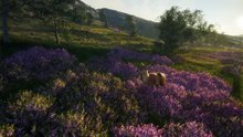 theHunter： Call of the Wild Official Scotland Hunting Reserve Launch Trailer