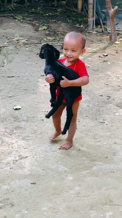 Funny Baby,Cute Baby,Baby Laugh