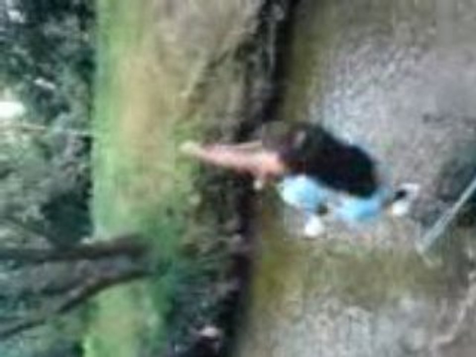 rere tarzan